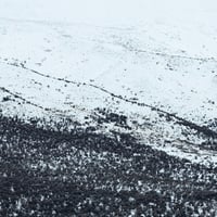 submerse - Awake (CD)