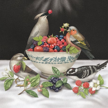 Sparrows - Berries (LP)