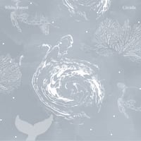 Cicada - White Forest (CD)