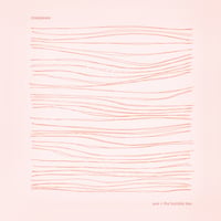 aus + the humble bee - Chalybeate (CD)