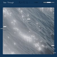 Kumi Takahara - See-through (CD)