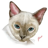 flau cat - Tote bag