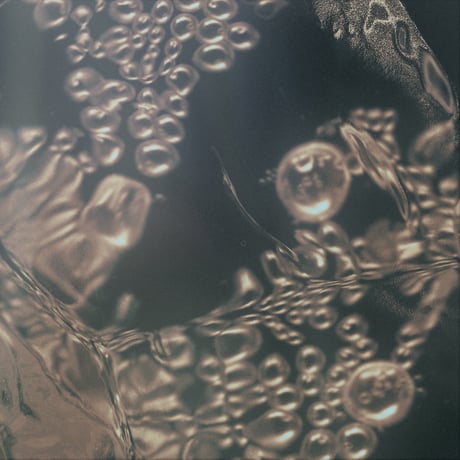 marucoporoporo - Conceive the Sea  (LP)
