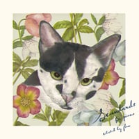 V.A. - Standards (CD)