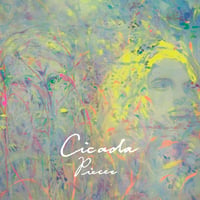 Cicada - Pieces (LP)
