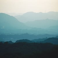 repeat pattern x submerse - so you like pandas (zine + download)
