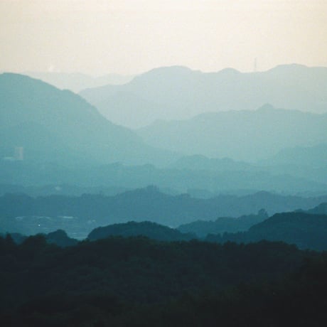 repeat pattern x submerse - so you like pandas (zine + download)