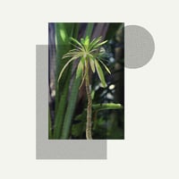Stefan Jós - Primitives (LP)