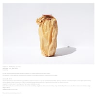 Federico Madeddu Giuntoli - The Text and The Form (LP)