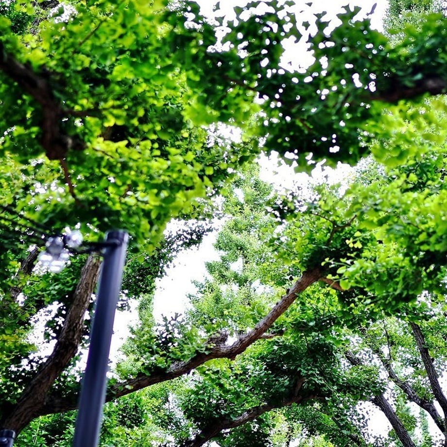 5ef8f2970d5e381ab4a41534