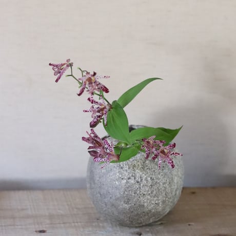 村上躍 白灰化粧花器
