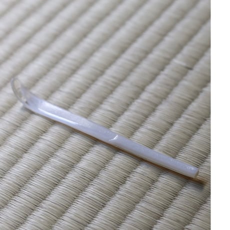 池谷三奈美 | STORES