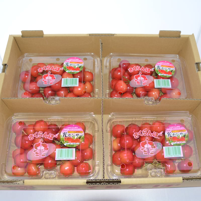 サクランボ 佐藤錦 【200gフードパック×4個入り】 | 菱沼農園 サクランボ 佐藤錦 【200gフードパック×4個入り】 | 菱沼農園