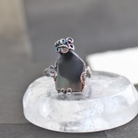 羊の亡霊かひな鳥か#13