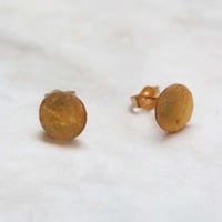Musica Studs