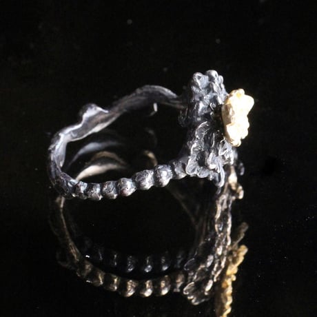 宝相華と動く蝶　Silver Ring