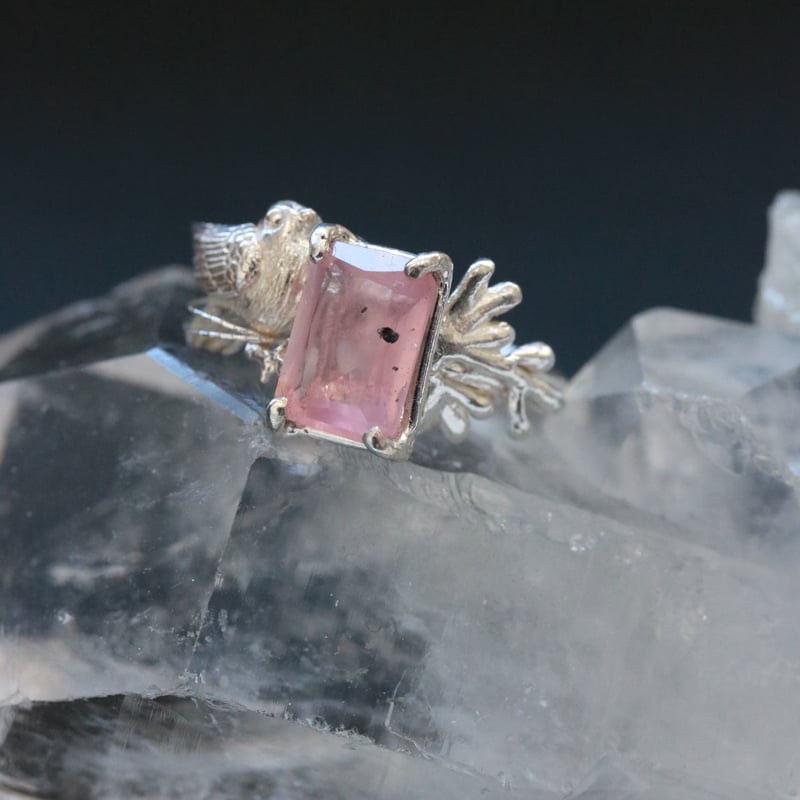 ピンクの鳩イヤカフ | Lissita