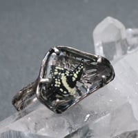 透けるアゲハ蝶リング#12