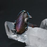 紫の蝶の羽　#９