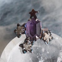 ウミユリの紫星#9