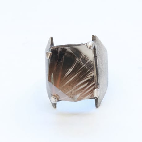 ハンサムな鳥#12.5