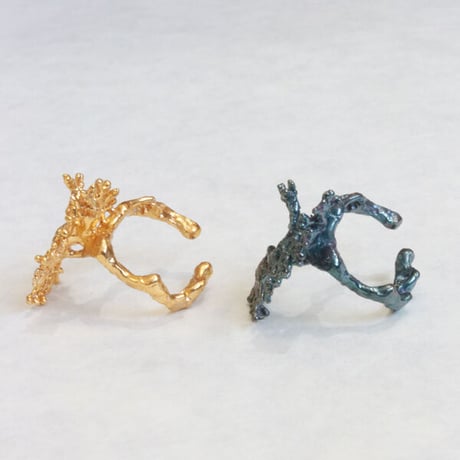 アミコケムシイヤカフ
