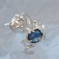 金魚の幽霊黒蝶貝を持って#11