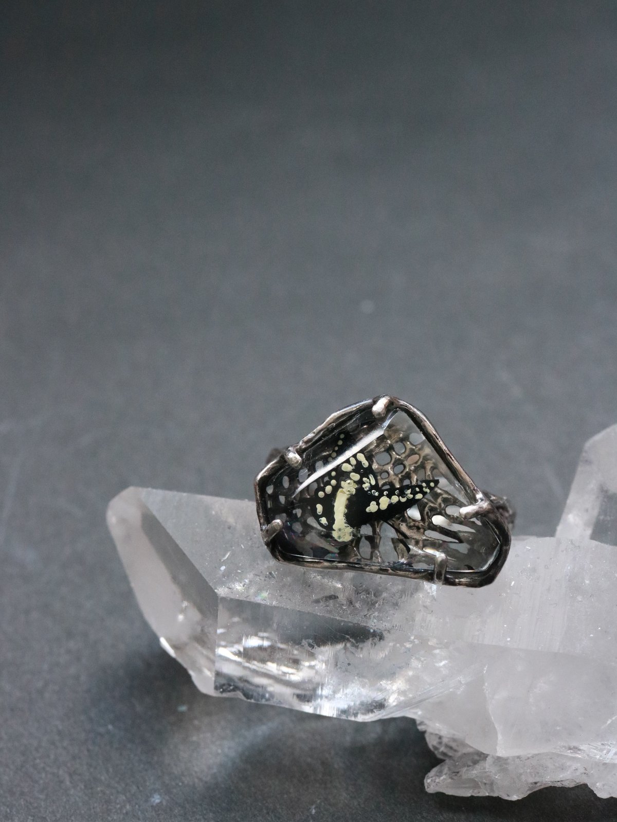 その他 *Flower* 透けるアゲハ蝶リング#12 | Lissita