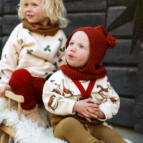 SILLY Silas_Acorn Brown × Maple Leaf