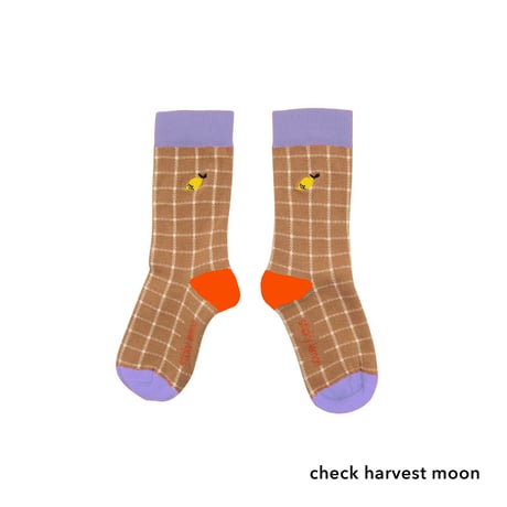 Sticky Lemon_socks (check harvest moon,pears) / 13-14.6,15.2-16.8,17.1-19.1cm
