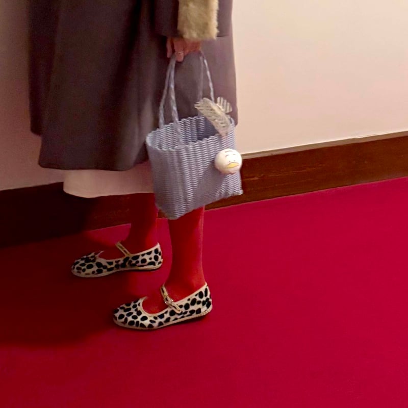 美品✨エトロ ミニハンドバッグ 腕掛け ゼブラ ハラコ ゴートスキン ペイズリー 美品✨エトロ ミニハンドバッグ 腕掛け ゼブラ ハラコ ゴート