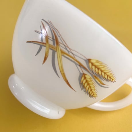cup&tray plate set