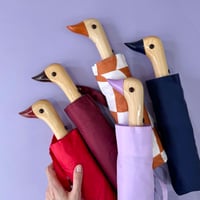Original Duckhead_Umbrella (Navy,Cherry,Mocha Mousse,Black,Lilac)