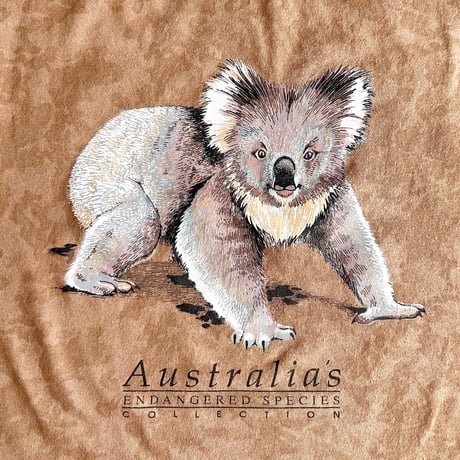 koala T-shirts / 10years