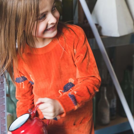 Ba*Ba kidswear_Dress (OSTRICH) / 98,104,110cm