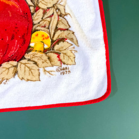 LADYS vintage_apple apron