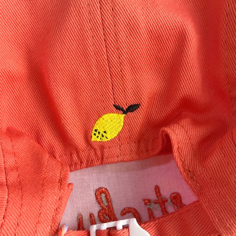 Sticky Lemon_cap (ladybird red)