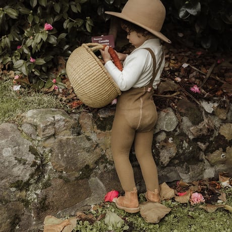 SILLY Silas_Acorn Brown