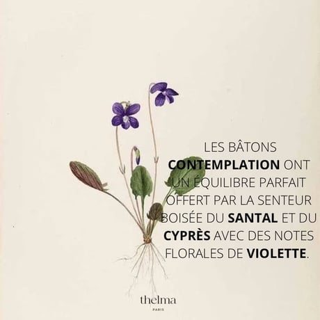 Thelma Paris_Incense boxes (DÉCLARATION,INTUITION,HARMONIE,WINTER EARTH,CONTEMPLATION)