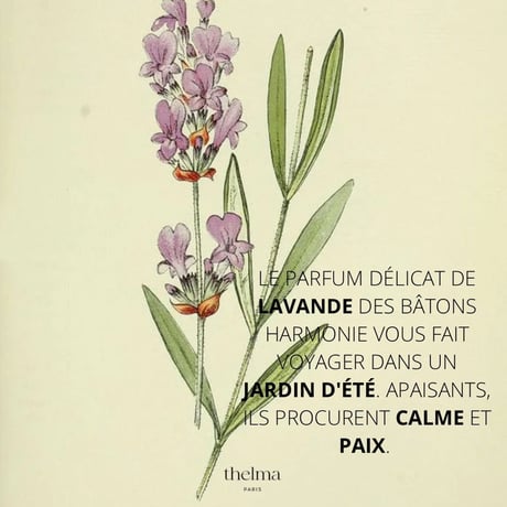 Thelma Paris_Incense boxes (DÉCLARATION,INTUITION,HARMONIE,WINTER EARTH,CONTEMPLATION)