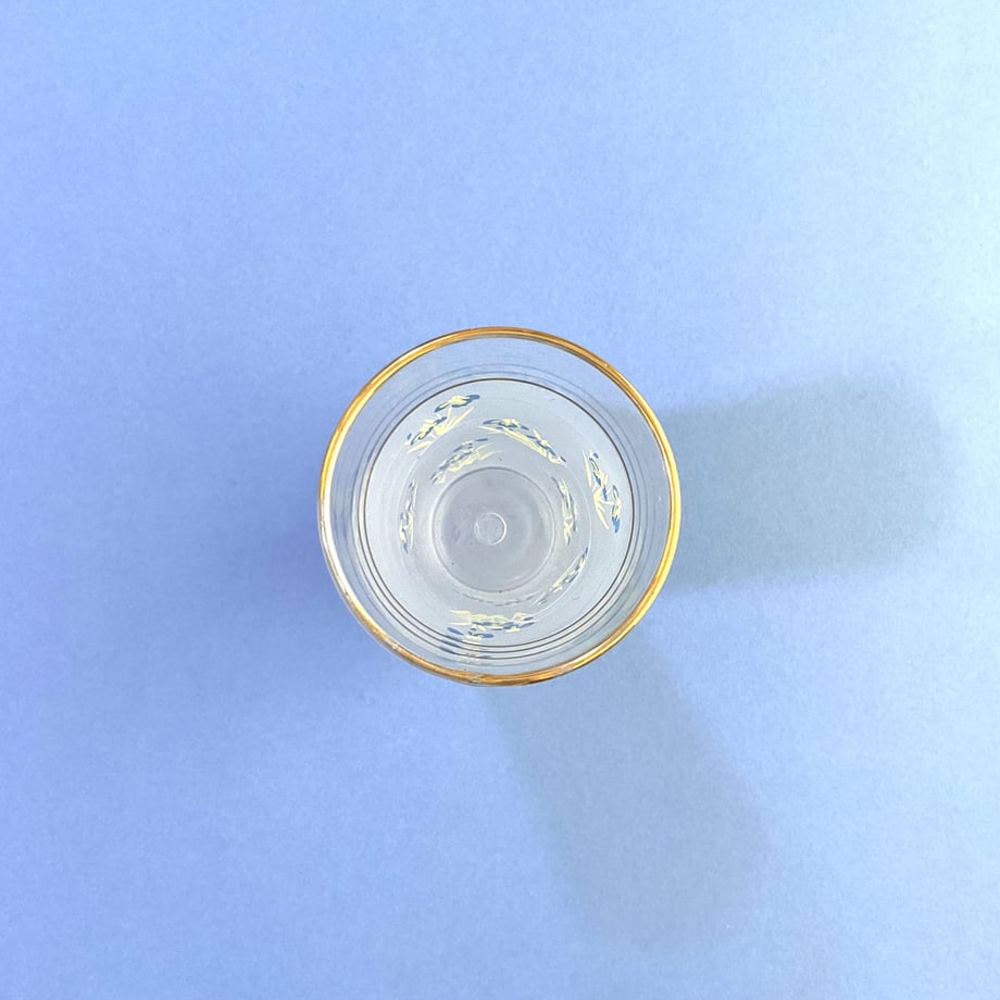 64d43858717fd9002efadae1