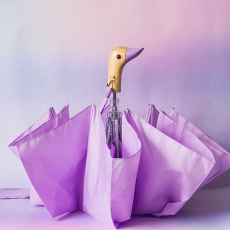 Original Duckhead_Umbrella (Cherry,Black,Lilac,Peanut Butter Checkers,Mocha Mousse,Popsicle Blue)