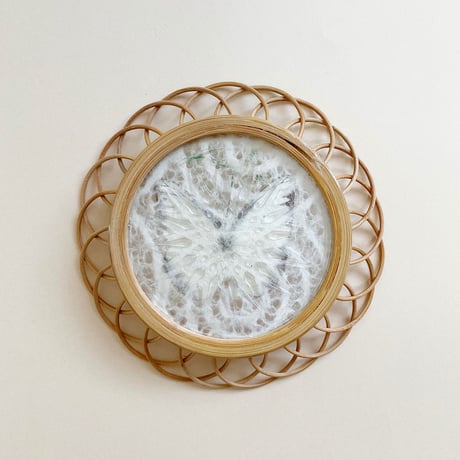butterfly coaster