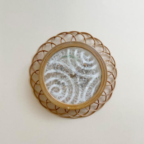 butterfly coaster