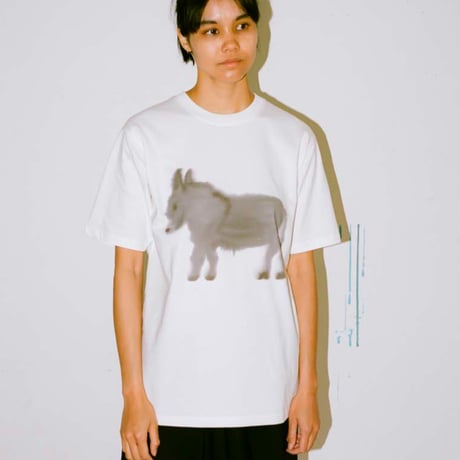 Wild Animals ワイルドアニマルズ XS Tシャツ CATEGORY Wild Animals | 2e CHESTS