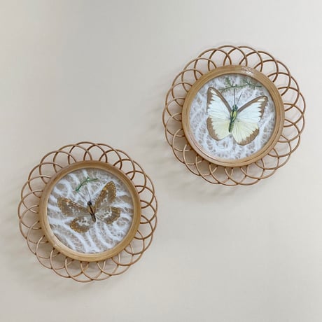 butterfly coaster