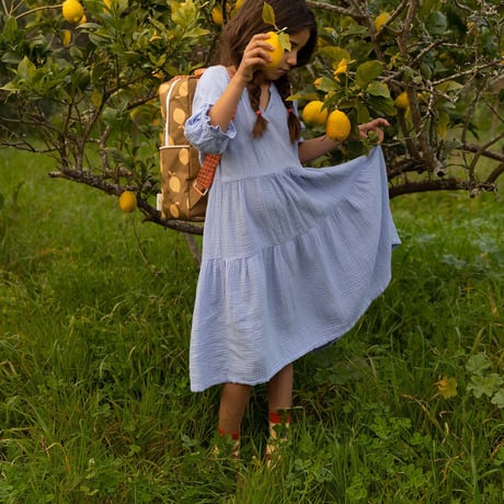 Sticky Lemon_socks (check harvest moon,pears) / 13-14.6,15.2-16.8,17.1-19.1cm