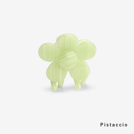 sasstie_Bloomie (Macadamia)