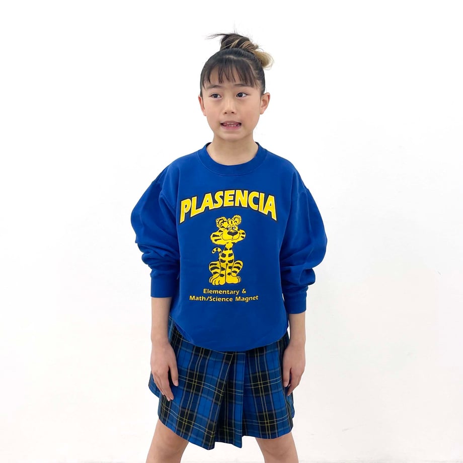 671856ea9300a900b24cc1c4