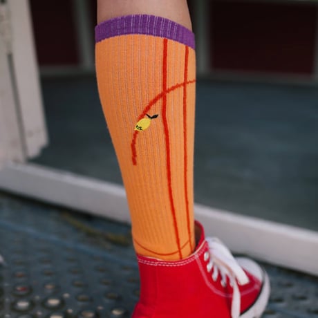 Sticky Lemon_socks (gravel orange) / 17.1-19.1cm